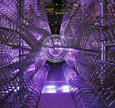 Ai Weiwei . Forever Bicycles